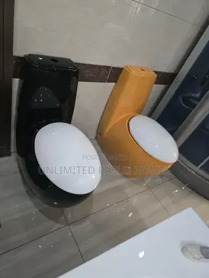 Master Luxury Modern Toilet - Black & Orange