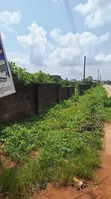 Prime Commercial Land on Ugbor/Amagba Tarred Road - 3