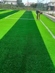 Fully Installed Pitch Grass - 1