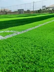 Fully Installed Pitch Grass - 2