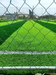 Fully Installed Pitch Grass - 3