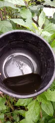 Rabin Dawa (Fertilizer) - Port Harcourt - 4