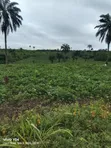 13 Acres Commercial Land for Sale, Ijebu Ode - 1