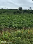 13 Acres Commercial Land for Sale, Ijebu Ode - 2
