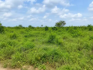 Lucrative Plot of Land in Developing Area - Ngor-Okpala