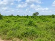 Filin Ƙasa Mai Kyau a Yankin Ci Gaba - Ngor-Okpala - 1