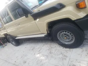 2025 Toyota Land Cruiser 79 Series Double Cabin (Buffalo)