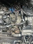 Land Rover Range Rover Evoque 2019 2.0L Ingenium Diesel Engine - 1