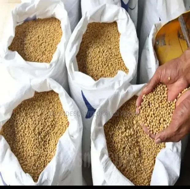 Maize and Soybeans Supplier - 1