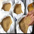 Maize and Soybeans Supplier - 1
