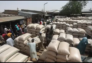 Maize and Soybeans Supplier