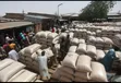 Maize and Soybeans Supplier - 2