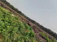 Filin Kasuwanci 40 Acres Don Siyarwa, Epe Lagos Mai Kallon Titin Babba - 1