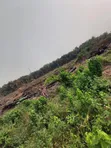 Filin Kasuwanci 40 Acres Don Siyarwa, Epe Lagos Mai Kallon Titin Babba - 2