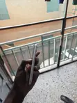 Apple iPhone 11 128GB Fari (Amfani) - 4