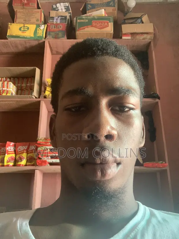 Hardworking Driver with 5 Years Experience - 1