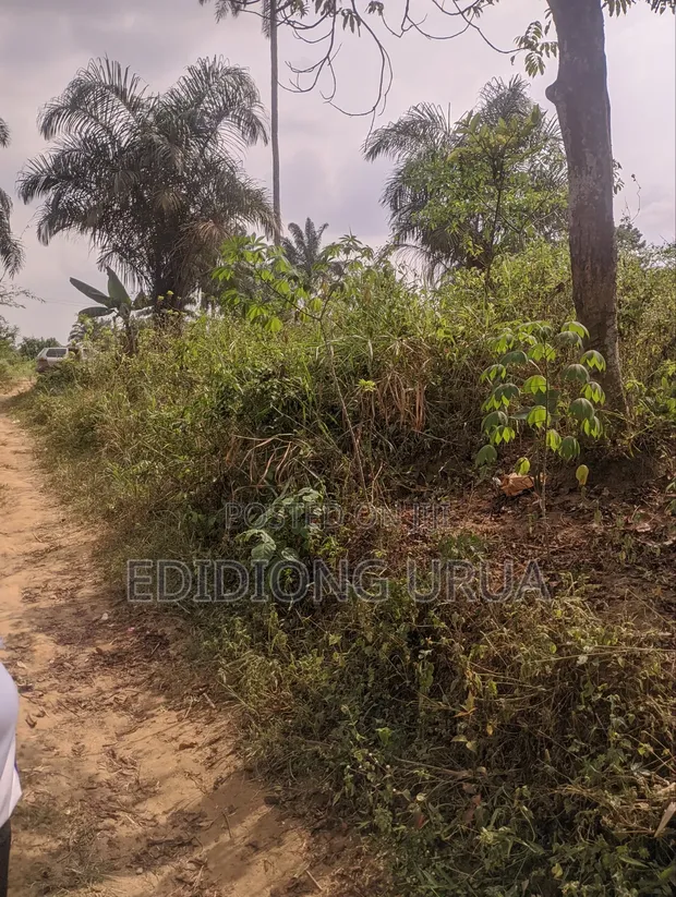 460sqm Plots of Land for Sale in Uyo, Akwaibom - 1