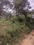 460sqm Plots of Land for Sale in Uyo, Akwaibom - 3