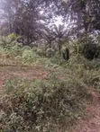 460sqm Plots of Land for Sale in Uyo, Akwaibom - 4