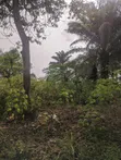 460sqm Plots of Land for Sale in Uyo, Akwaibom - 5