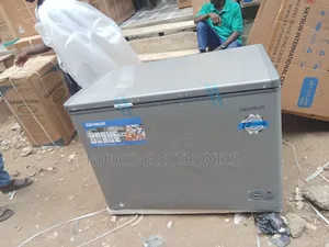 Original Skyrun Deep Freezer 300Litre