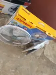 Qasa 18-Inch Fan Mai Sake Caji Mai Haske 2 da Katin Hasken Rana - 2