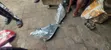 Lexus RX 330 2007 Headlights (Foreign Used) - 2