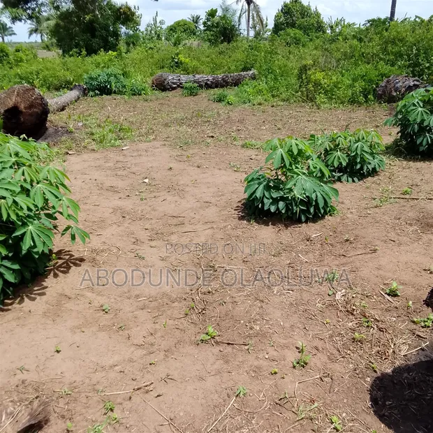 Fertile Farmland for Sale in Age Mowo - 1
