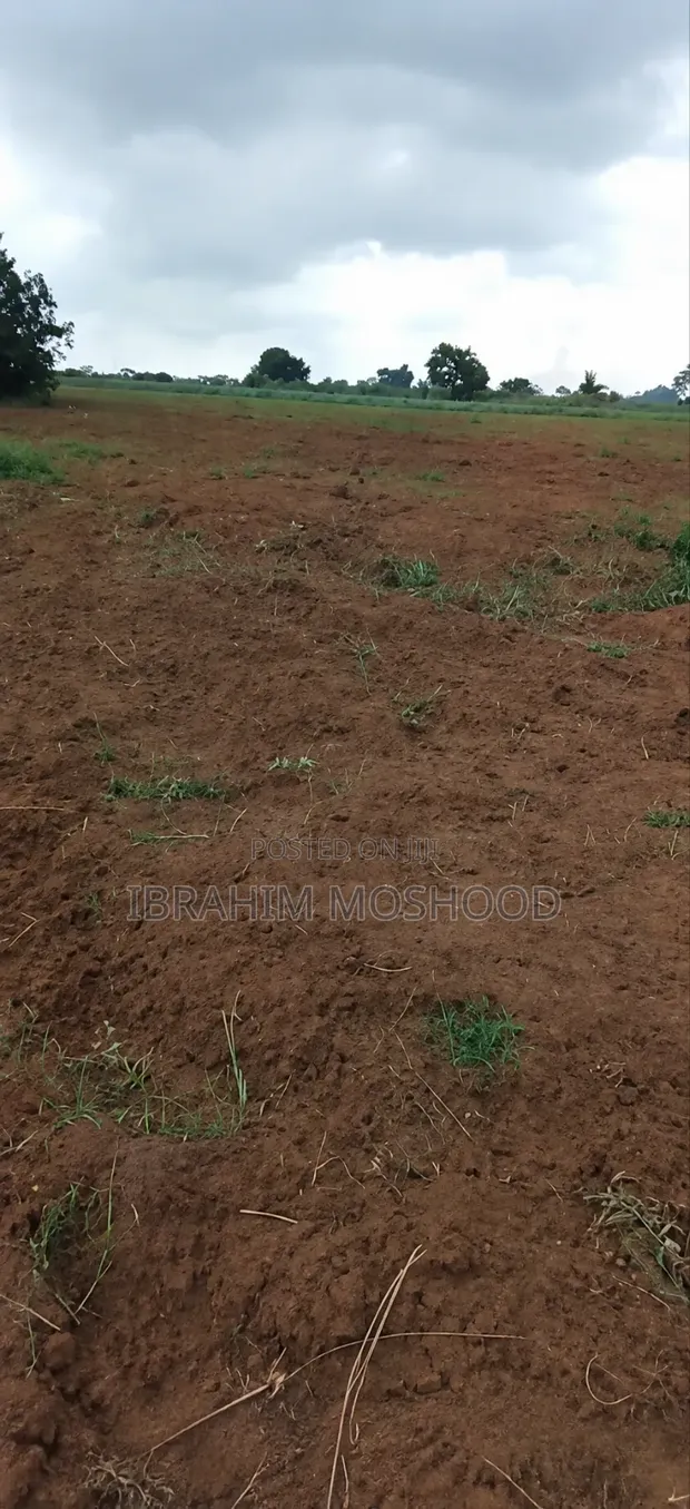 5 Acres of Land for Sale in Olugbogi Village, Ewekoro - 1