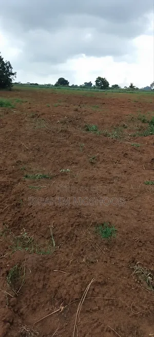 5 Acres of Land for Sale in Olugbogi Village, Ewekoro