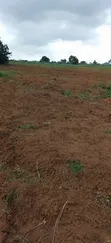 5 Acres of Land for Sale in Olugbogi Village, Ewekoro - 1