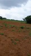 5 Acres of Land for Sale in Olugbogi Village, Ewekoro - 2