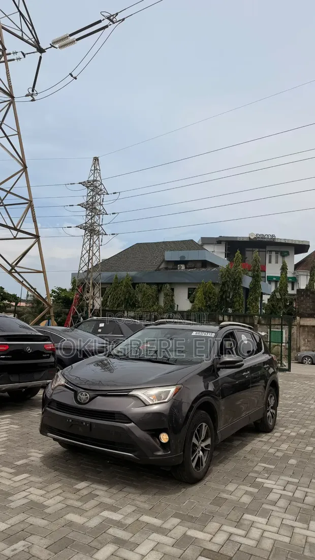 Toyota RAV4 XLE 2018 Grey - 1