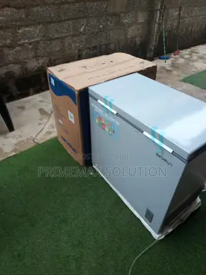 Skyrun 200L Chest Freezer BD-200A