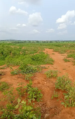 10 Plots of Farmland for Sale in Damishi Village
