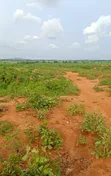 10 Plot na Filin Noma a Damishi Village - 1