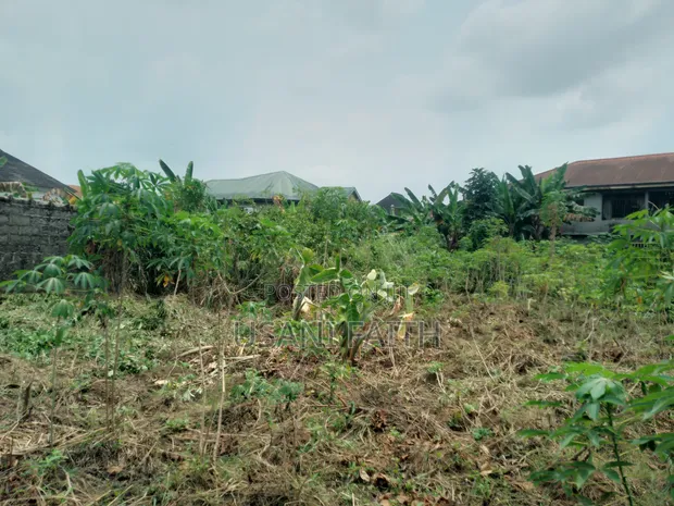 17 Plots of Land for Sale, Rumuagholu Rd, Near New Airport Rd - 1