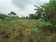 17 Plots of Land for Sale, Rumuagholu Rd, Near New Airport Rd - 2