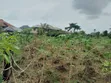 17 Plots of Land for Sale, Rumuagholu Rd, Near New Airport Rd - 4