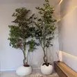 Flower Pot - Home Interiors - 4