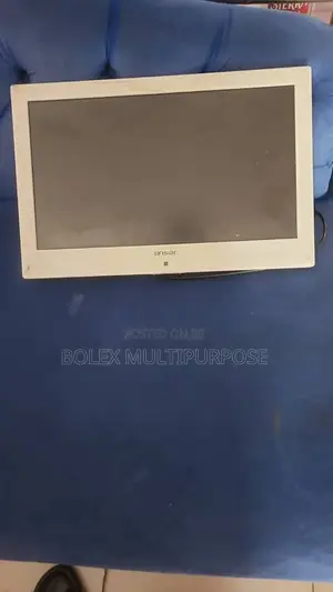 Linsar 24-inch Television/Monitor (Used)