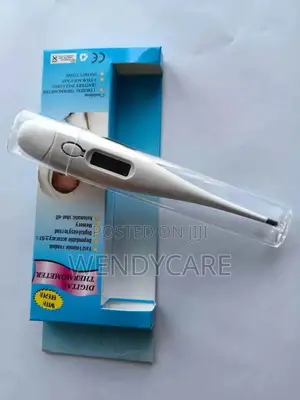 Digital Thermometer - Brand New