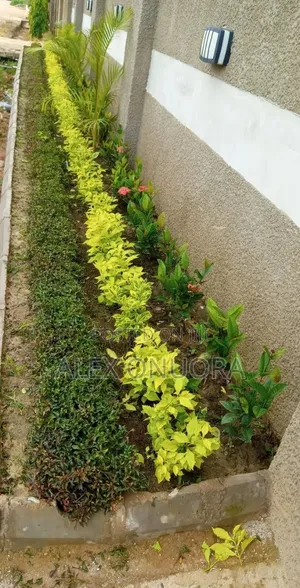 Flower and Landscape Design Services