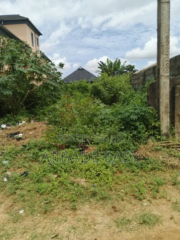 Rabin Rabin Ƙasa, Mai Shinge, Ishefun Ayobo, Legas - 1