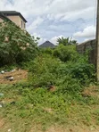 Rabin Rabin Ƙasa, Mai Shinge, Ishefun Ayobo, Legas - 2