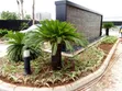 Flower and Landscape Design Services - 3