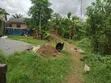 Filin Ƙasa da Shinge, Gidan Da Aka Rufe da Ƙananan Flats a Ayobo - 2