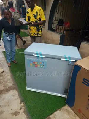 Skyrun BD-200A 200L Chest Freezer
