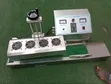 Continuous Electromagnetic Induction Sealing Machine LX6000A - 2