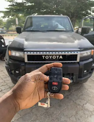 Car Key Programming & Auto Locks